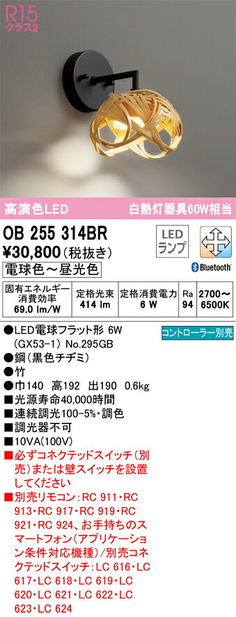 乐天商城 - オーデリック　OB255314BR　ランプ別梱包 Σ