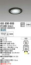 オーデリック OD250053 電源装置・電線別売 Σ(3)
