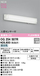 オーデリック　OG254507R　LEDポーチライト Σ