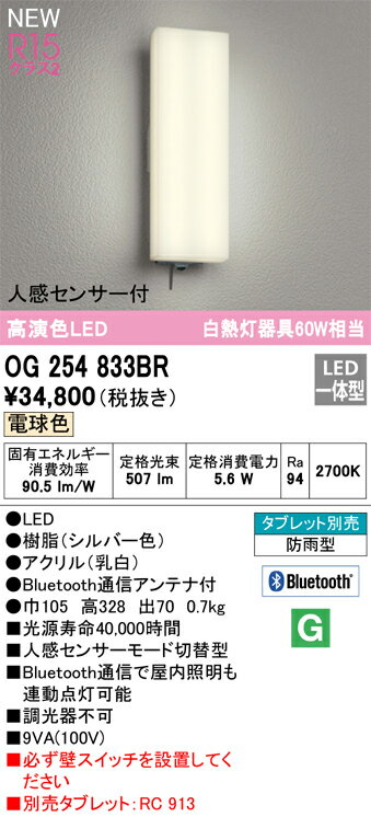 オーデリック　OG254833BR　LEDポーチライト Σ