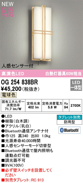 オーデリック　OG254838BR　LEDポーチライト Σ