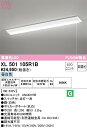 オーデリック XL501105R1B LED光源ユニット別梱 Σ(3)