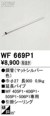 ǥåWF669P1󥰥եĹѥ 