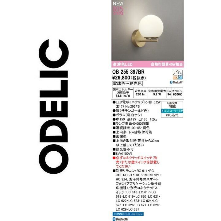オーデリック　OB255397BR　ランプ別梱包　Σ