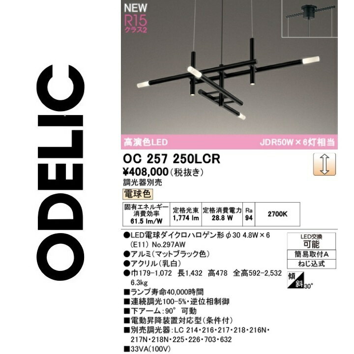オーデリック　OC257250LCR　ランプ別梱包　Σ