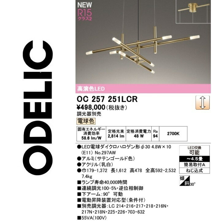 オーデリック　OC257251LCR　ランプ別梱包　Σ