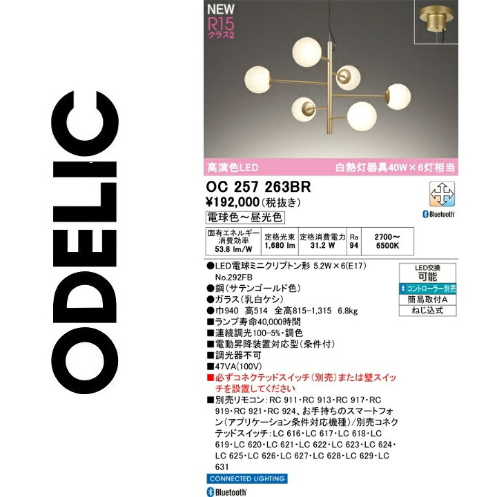 オーデリック　OC257263BR　ランプ別梱包　Σ