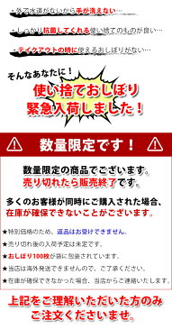 【個包装100本入】使い捨ておしぼり 業務用 抗菌 除菌 消臭 子供　保湿 テイクアウト 銀イオン ウェットティッシュ 手洗い 携帯用 平型 保育園 イオニオンAg+エコ 028006 FUJINAP 尚美堂