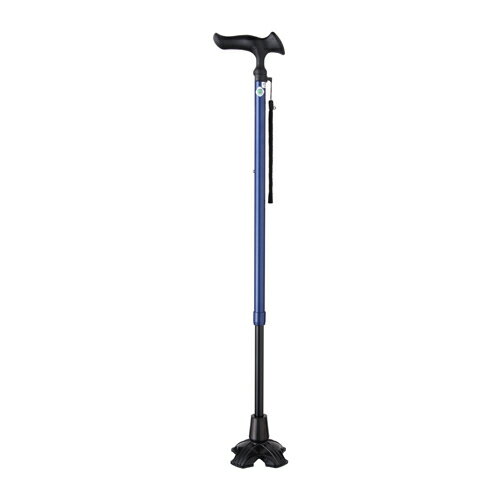 Fuji Home(եۡWalking Stick(ƥå)WB3777뤬 E4DX֥롼ƥå Ĥ  ...