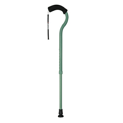 メーカー直送品超軽量　Fuji Home(フジホーム）Walking Stick(ステッキ・杖)WB3883フラミンゴN 伸縮ファレストグリーン