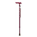 Fuji Home(フジホーム)Walking Stick(ステッキ・杖)WB5130かるがもファム2 伸縮小花ワイン