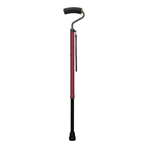 Fuji Home(tWz[)Walking Stick(XebLE)WB5245̂ЂtBbgXebL LkCbh