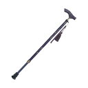 【送料無料 】メーカーから直送いたします。Fuji Home(フジホーム)桂由美デザイン Rose Yumi Roseステッキ伸縮WB5251クリスタルローズ【適応身長の目安(メーカー推奨)127~172cm】つえ 介護 ステッキ おしゃれ 伸縮式 歩行補助 立ち上がり補助(4)