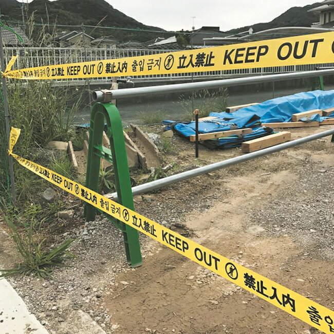 �ڥ��饪�ۥ�����ơ���60w��50m��30����AR-3301