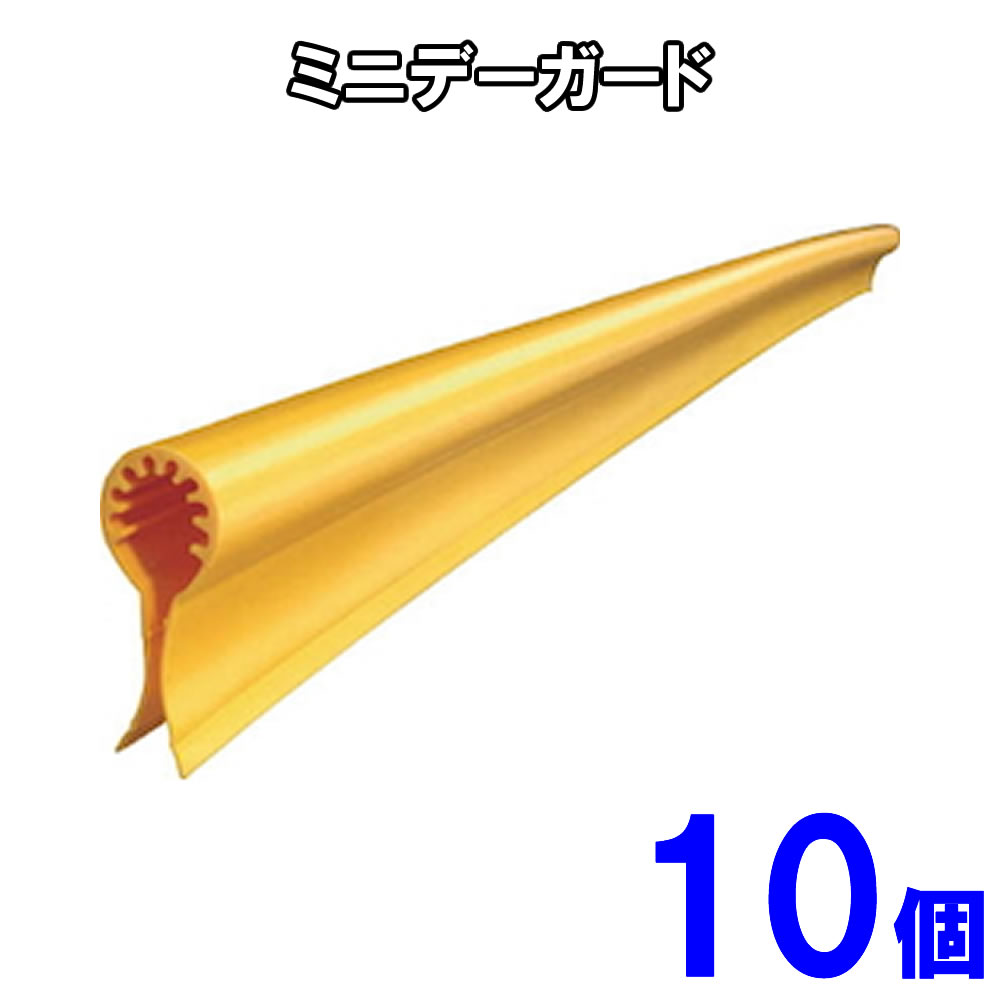樂天商城 - アラオ　ミニデーガード 【10個入り】