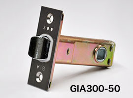 ヒナカ　GIAラッチ50　GIA300-50