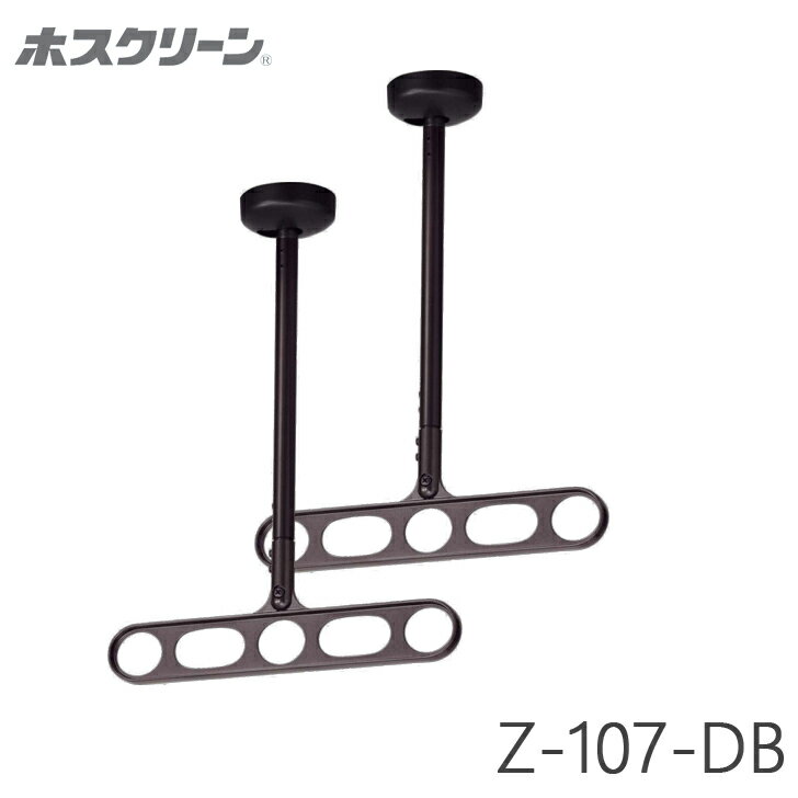 川口技研 軒天用 ホスクリーン Z-107-DB ダークブロンズ