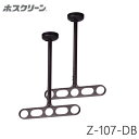 川口技研 軒天用 ホスクリーン Z-107-DB ダークブロンズ 物干し 屋外用