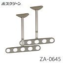 川口技研 軒天用 ホスクリーン ZA-0645 物干し 屋外用