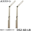 川口技研 ホスクリーン DS2-60-LB ライトブロンズ 2本入り 腰壁用上下式スマートタイプ 物干し 屋外用