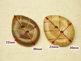 木ボタン-葉WBTM-41014-30【DM便OK】