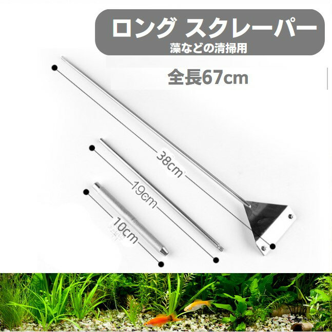 ロング スクレーパー 苔 コケ 取り 掃除 クリーニング ケア セットステンレス 水槽 藻などの清掃用に ..