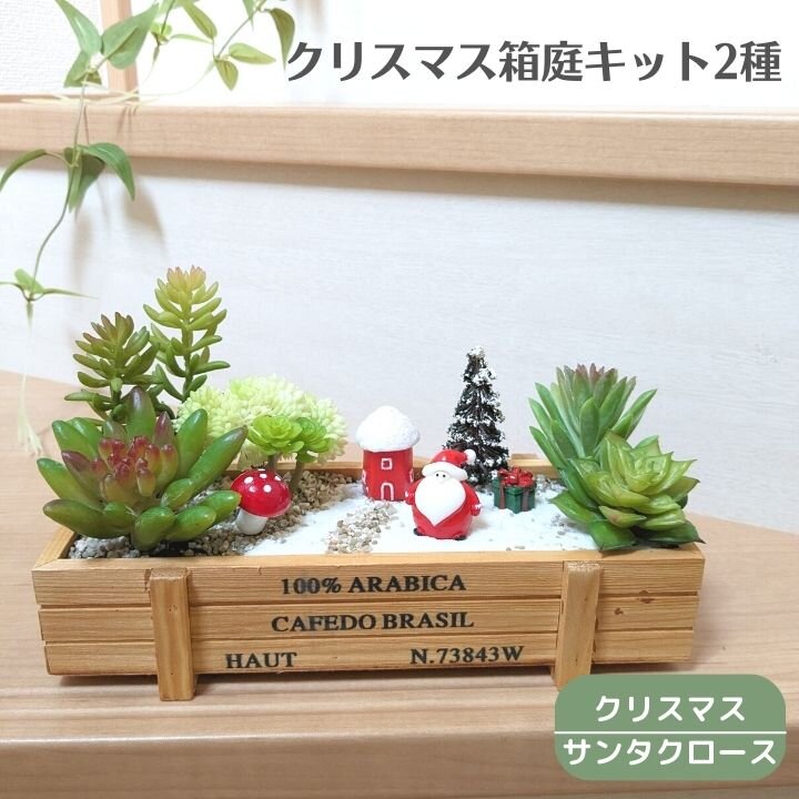 楽天市場】箱庭 多肉植物の通販 楽天市場】箱庭 多肉植物の通販