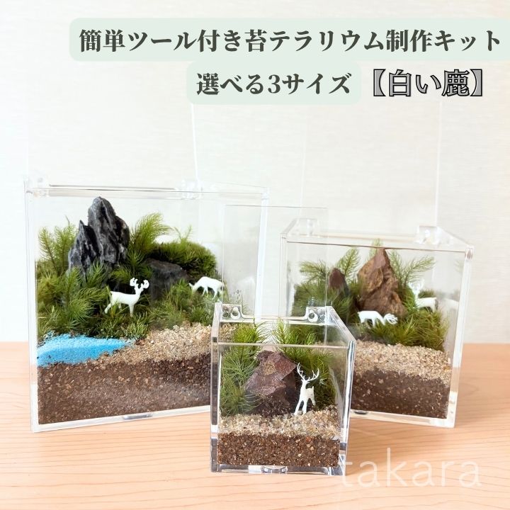 【8/1~10ポイント5倍】苔テラリウム制作キット しか コケテラリウム おしゃれ 贈り...