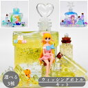 水ジェリで作る ウィッシングボトル キット ぷよぷよボール かわいい 小学生 プレゼント ハンドメイド 小さい水槽 お祝い お誕生日 敬老の日 母の日 クリスマ...