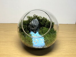 楽天市場 敬老の日ギフト 送料無料 苔テラリウム 羊の楽園 手作り キット 合わせて苔テラリウム お誕生日 プレゼント ワークショップ ホソバオキナゴケ タマゴケ 初心者 苔リウム 観葉植物 園芸 ガーデニング インテリア モス テラリウムインテリアtakara 楽天市場 敬老の日ギフト 送料無料 苔テラリウム 羊の楽園 手作り キット 合わせて苔テラリウム お誕生日 プレゼント ワークショップ ホソバオキナゴケ タマゴケ 初心者 苔リウム 観葉植物 園芸 ガーデニング インテリア モス テラリウムインテリアtakara