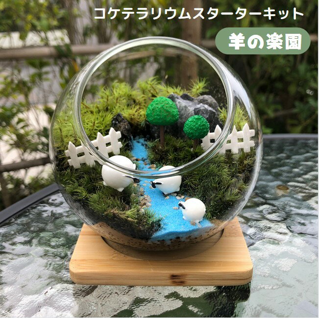 商品名 【羊の楽園】 サイズ 幅約12cm 高さ約12cm キット内容 ・ガラス容器（幅約12cm 高さ約12cm） ・竹マット ・苔（山ゴケ&シッポコケ） ・固定ピン付きフィギュア（7体） ・化粧砂 ・砂 ・山石　1～2個（形、サイズはバラバラ） ・苔リウム専用ソイル ・霧吹き ・ピンセット ・作り方説明書、育て方説明書 水やり 苔の状態を見て一日一回程度霧吹きで水やりをしてください。 苔は葉から水分を吸収するので、葉全体に水分が行くようにしてください。 ただし、与えすぎは苔が傷む原因になりますので、注意が必要です。 置き場所 直射日光を避けてできるだけ明るい場所に置いてください。 暗い所に置く場合はLEDライトを使用するといいです。 注意事項 ※苔は天然のものですので、形やサイズにバラつきがあります。 ※苔は屋外栽培ですので、稀に微小な昆虫が紛れている場合がございます。 ※ガラス容器は軽い擦り傷がある場合があります。