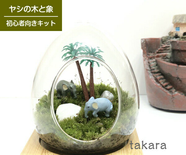 楽天市場 母の日 父の日ギフト 送料無料 苔テラリウム 樹の下の動物たち 手作り キット コケリウム 還暦祝い ギフト 誕生日 プレゼント ワークショップ ホソバオキナゴケ 初心者 苔リウム 盆栽 苔 テラリウムインテリアtakara