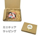 ギフトボックス ギフト包装 ミニフィギュア ミニチュア プレゼント 包装 ミニ テラリウム フィギュア ミニチュア コケリウム アクアリウム おしゃれ 癒し