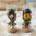 ドライフラワー ミニ花束 ガラスボトル 菊 母の日 誕生日 おしゃれ ナチュラル 人気 お花 ギフト お誕生日 プレゼント ウェディング 結婚式 両親 花束贈呈...