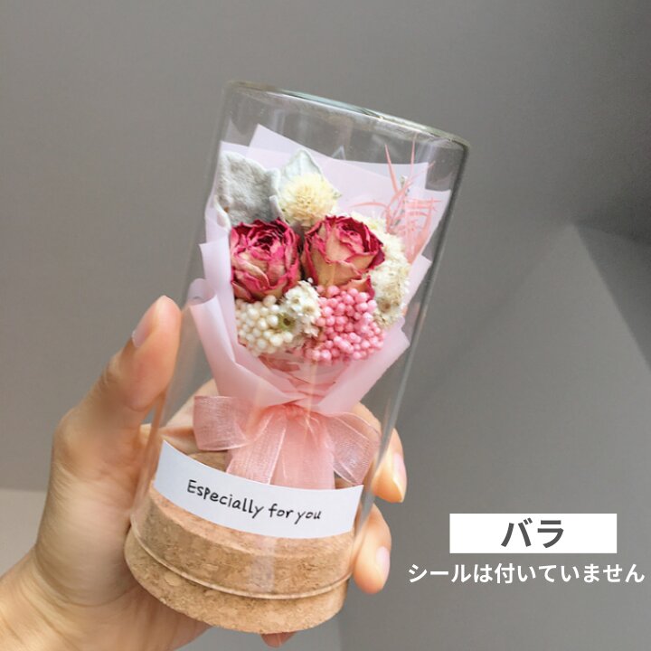 �ɥ饤�ե� �ߥ˲�« ���饹�ܥȥ� �����͡������ �Х� �����ߥ��� �� ����� ������ ������� �ʥ����� �͵� ���� ���ե� �������� �ץ쥼��� �����ǥ��� �뺧�� ξ�� ��«£�� ���̲� �࿦�ˤ� ��ǯ �뺧�ˤ�