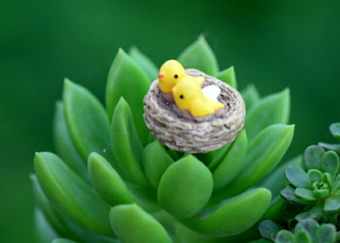 鳥模型 巣の中の小鳥 ミニフィギュ