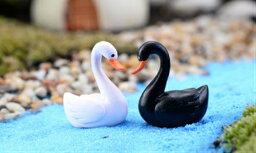 鳥模型 白鳥 白黒 ハクチョウ ミニ テラリウム フィギュア ミニチュア コケリウム 苔テラリウム 苔 コケ ワークショップ パーツ ガーデニング 観葉植物 癒し 園芸 おしゃれ 苔盆栽 癒し moss