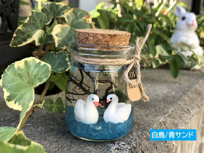まりも 毬藻 の育て方 水槽の水換え方法や飼い方のコツもご紹介 Kurashi No まりも 毬藻 の育て方 水槽の水換え方法や飼い方のコツもご紹介 Kurashi No