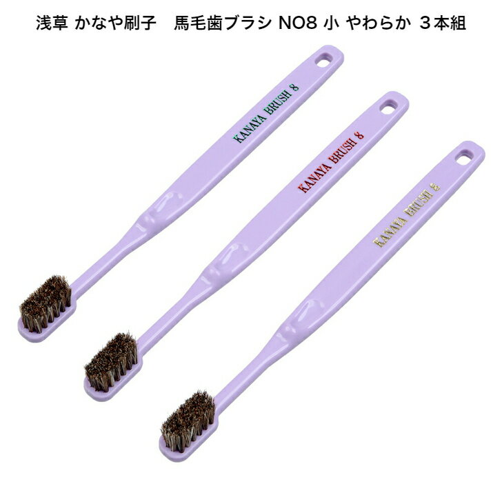 かなや刷子 商品NO8 馬毛歯ブラシ 小 3本組 硬さ（やわらか） 。手持ちのロゴ＝ゴ...