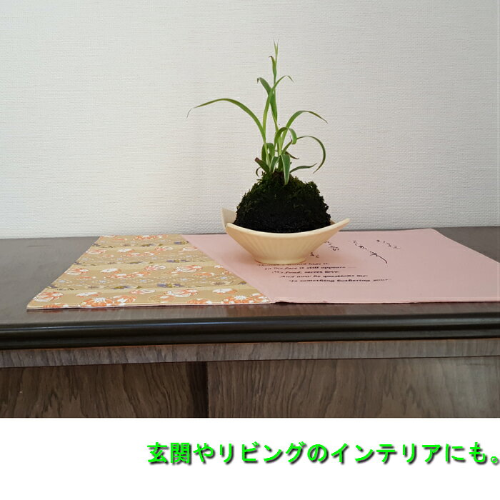 �������ޥåȡ�ɴ�Ͱ�󡦴�ʪ����ʿ����/Ǧ�֤�ɡ������߶�릡��� 43��33cm