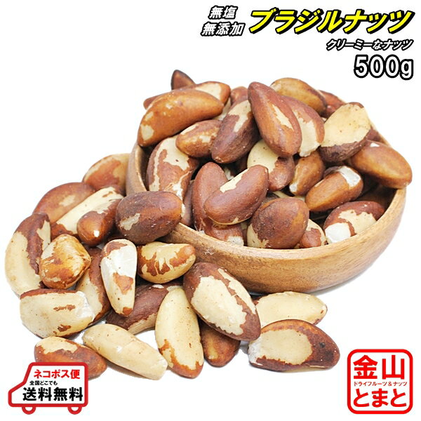素焼きブラジルナッツ 人気サイズ500g 無添加・無塩 【メール便送料無料】