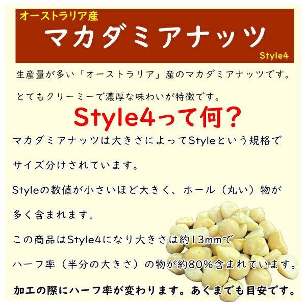 おつまみ マカダミアナッツ うす塩味 たっぷりサイズ 500g クリーミーなナッツ ネコポス便発送 3