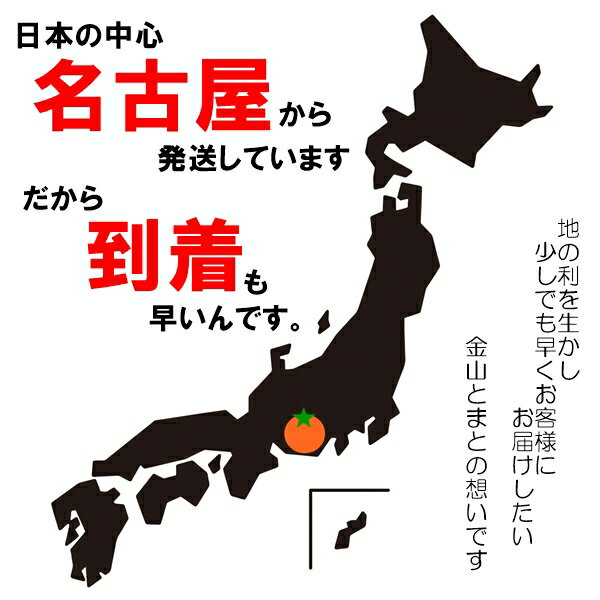 無添加 ドライアプリコット 500g 保存料不使用 赤字覚悟でこの価格 数量限定特価