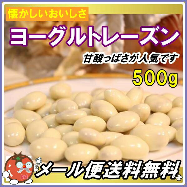 ヨーグルトレーズンチョコレート 500g 懐かしい美味しさ ゆうパケット便発送