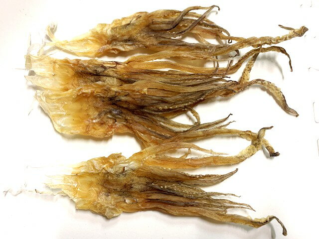 するめ足(北海道産)1000g【500gで2袋】