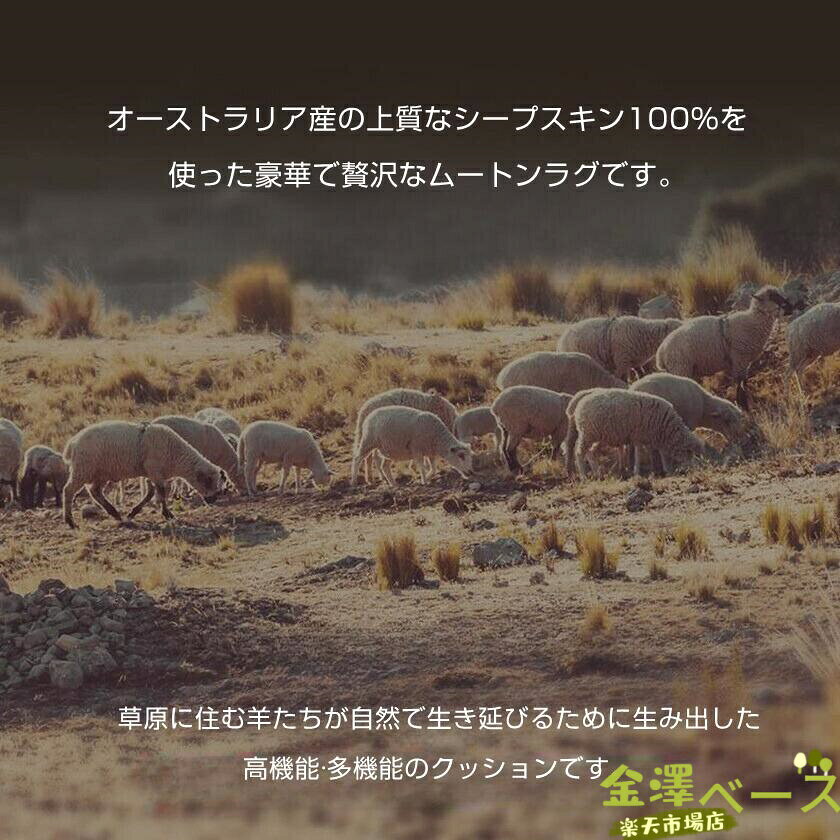 【全品5%ポイント】【全品5%ポイント】ムートン クッション 長毛タイプ ふわふわ あったか かわいい シートクッション 秋冬 厚い ムートン座布団 毛皮 おしゃれ 高級感 羊ちゃん型 大きい 暖か [2]