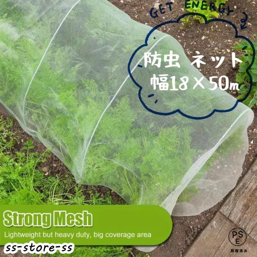ͥå  1.850m 緿 ͥå 褱ͥå Ȫ ڱͥå ͥå ץ󥿡 ڱ ٥  ...