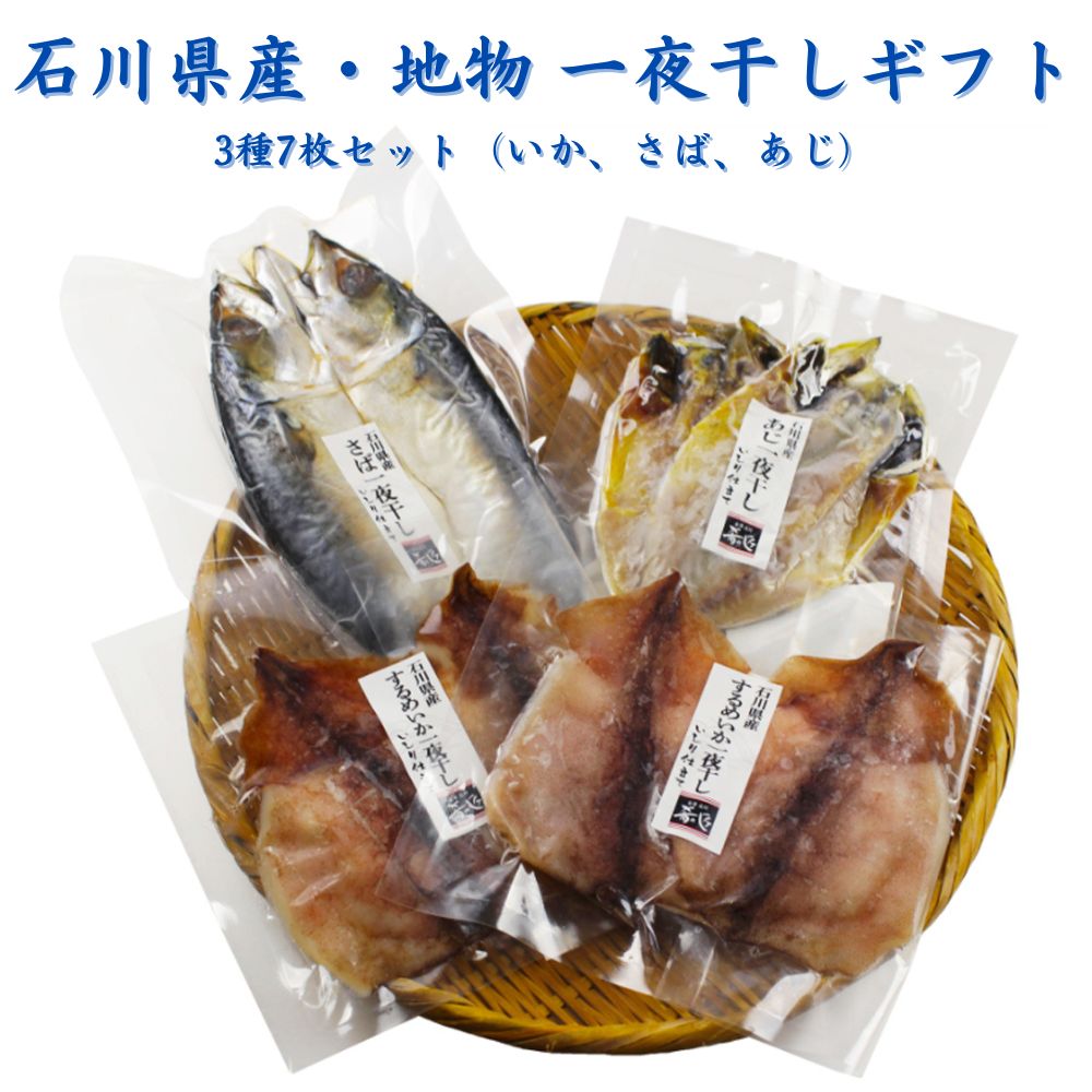 ≪ホクチン≫石川県産 地物 一夜干しギフト 3種7枚セット（いか さば あじ）【ネット限定品 能登伝統の魚醤油 冷凍 いしり醤油 能登 魚醤 酒の肴 旨味成分 贈り物】