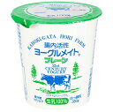 ≪ホリ乳業≫腸内活性ヨーグルメイトプレーン380g 6個入【酪酸菌 生乳100% 健康 スイーツ まとめ買い】