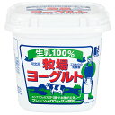 ≪ホリ乳業≫生乳100％牧場ヨーグルトプレーン400g 6個入【乳酸菌 プロバイオティクス 健康 スイーツ まとめ買い】